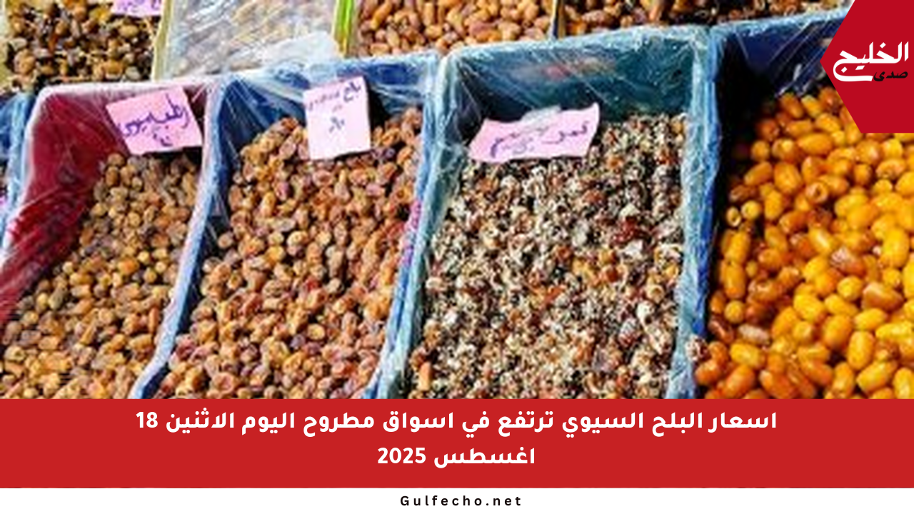 أسعار البلح السيوي ترتفع في أسواق مطروح اليوم الإثنين 18 أغسطس 2025